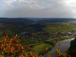 Neumagen-Dhron an der Mosel