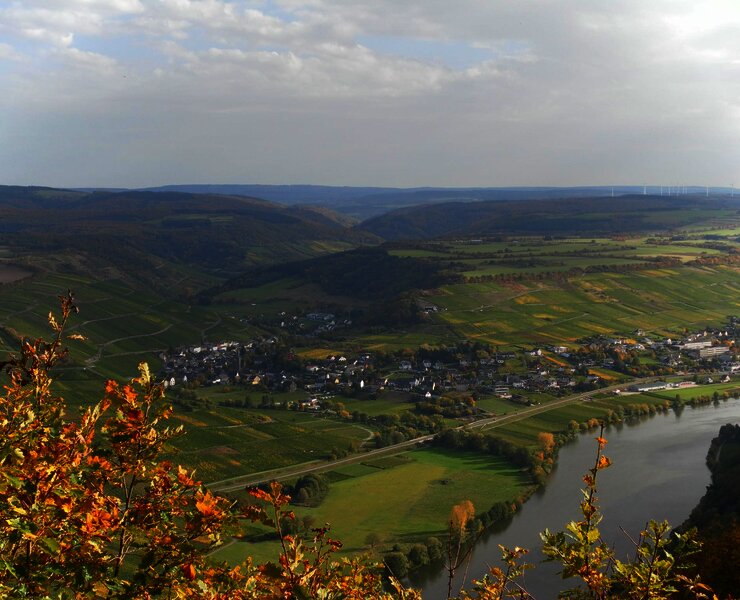 Neumagen-Dhron an der Mosel