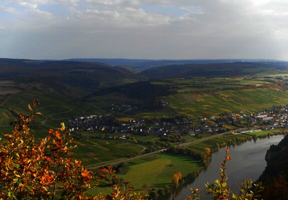 Neumagen-Dhron an der Mosel