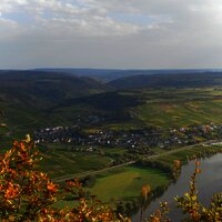 Neumagen-Dhron an der Mosel