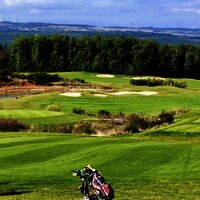 Blick auf die Grass Landschaft des Golfclubs Cochem mit Waldrand im Hintergrund