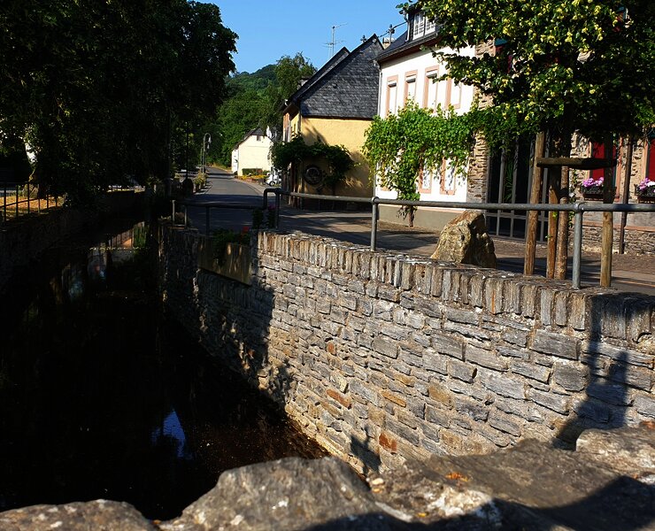 Der Fronbach in Burgen