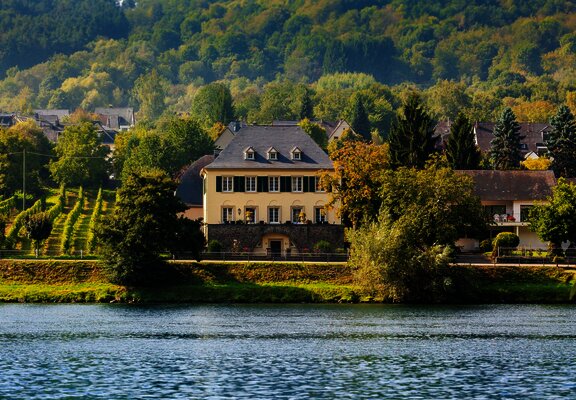 Landaus am Moselufer Wehlen