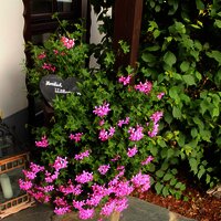 Herzlich willkommen im Cafe Alt Reinsport