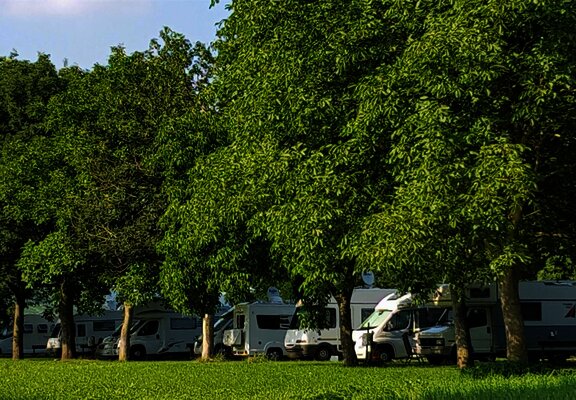 Stellplätze unter Bäumen
