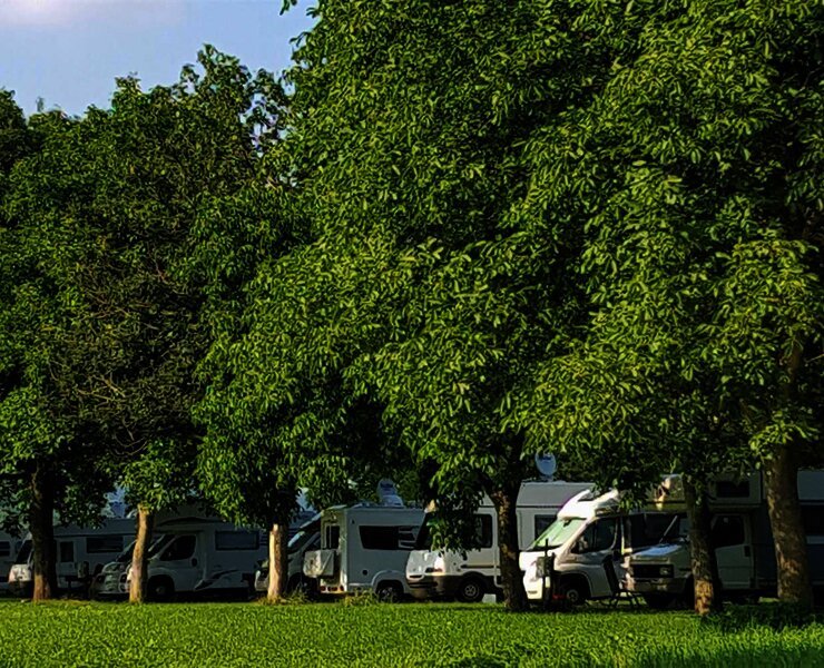 Stellplätze unter Bäumen