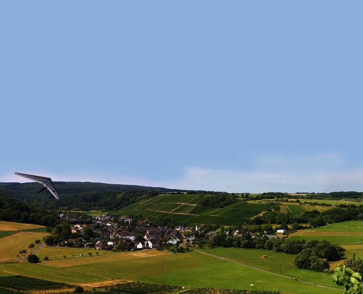 Burgen im Moselhunsrück