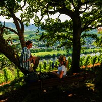 Schattiges Plätzchen auf dem Brauneberg