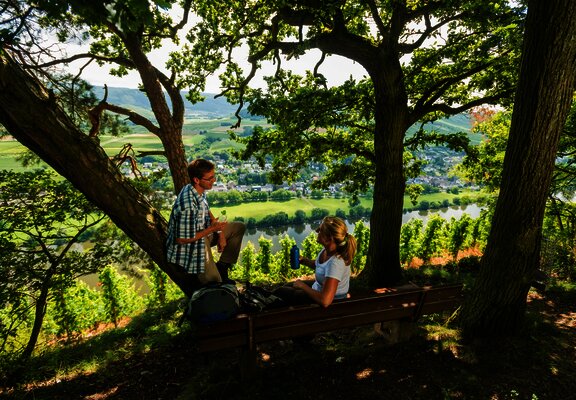Schattiges Plätzchen auf dem Brauneberg