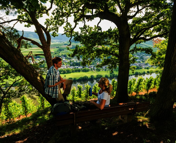 Schattiges Plätzchen auf dem Brauneberg