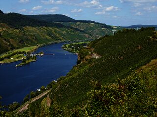 Ausblick auf Wintricher Hergott