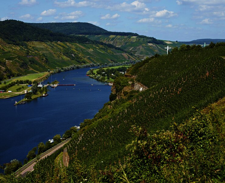 Ausblick auf Wintricher Hergott