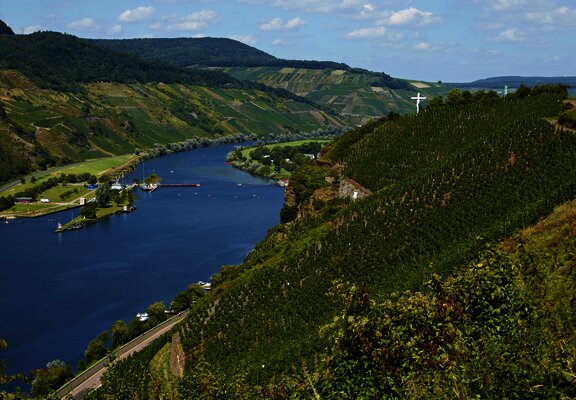 Ausblick auf Wintricher Hergott