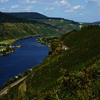 Ausblick auf Wintricher Hergott
