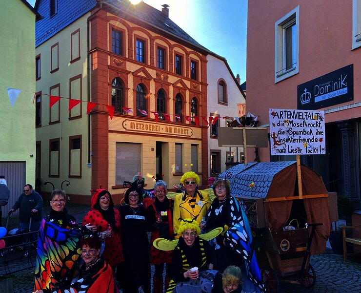 Rosenmontagszug in Lieser