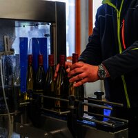 Arbeit im Weinkeller