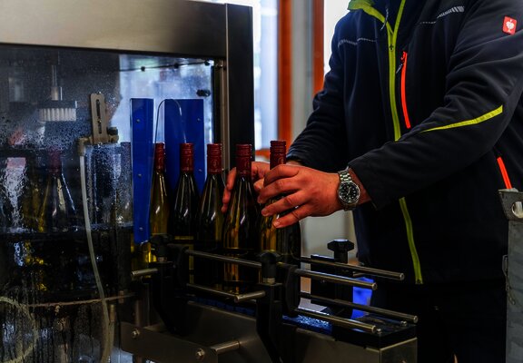 Arbeit im Weinkeller