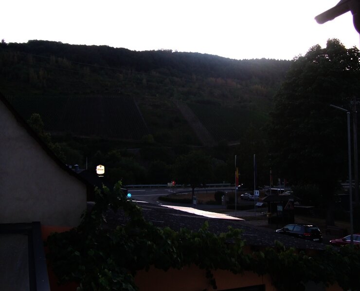 Blick zur Mosel