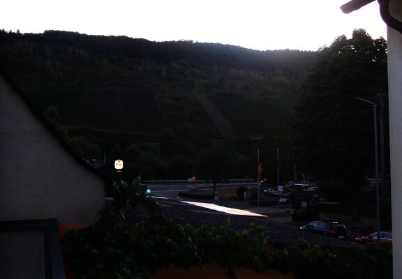 Blick zur Mosel
