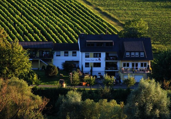 Weingut u. Gästehaus