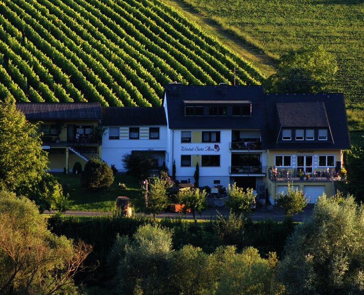 Weingut u. Gästehaus