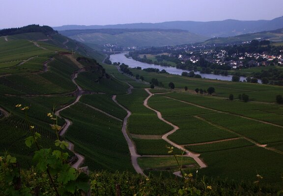 Berühmte Mosel-Weinlage: Brauneberger Juffer