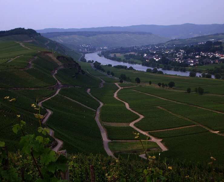 Berühmte Mosel-Weinlage: Brauneberger Juffer