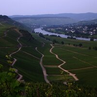 Berühmte Mosel-Weinlage: Brauneberger Juffer
