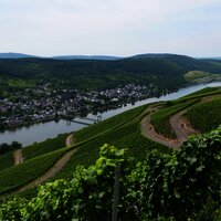 Ausblick auf's Moseltal
