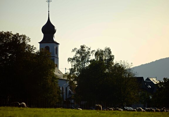 Nussbaumalee Brauneberg