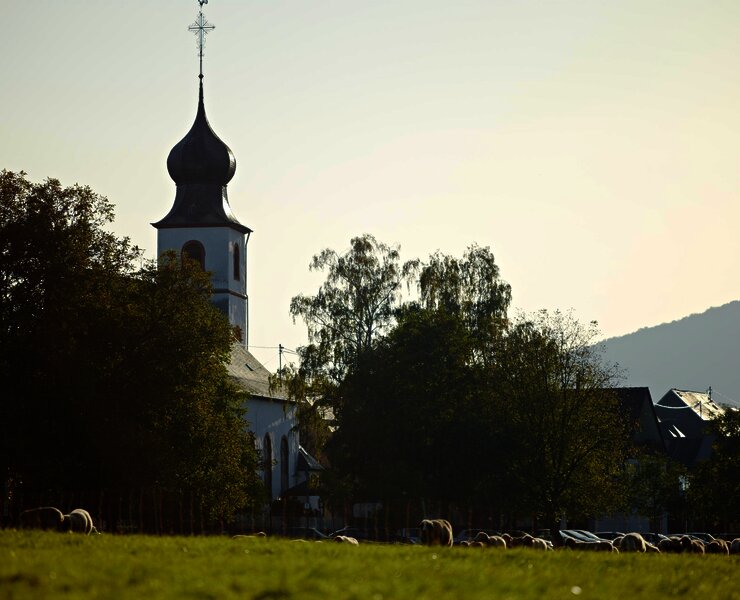 Nussbaumalee Brauneberg