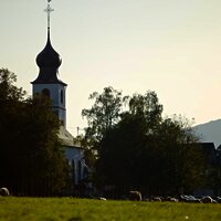 Nussbaumalee Brauneberg