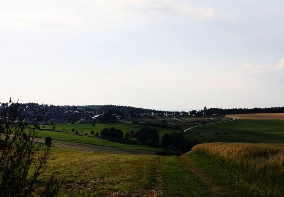 Hunsrücklandschaft bei Monzelfeld