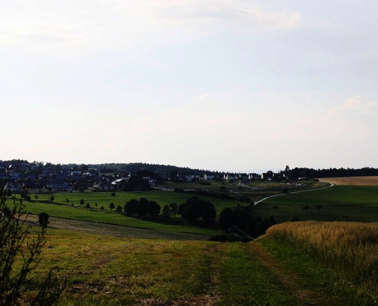 Hunsrücklandschaft bei Monzelfeld