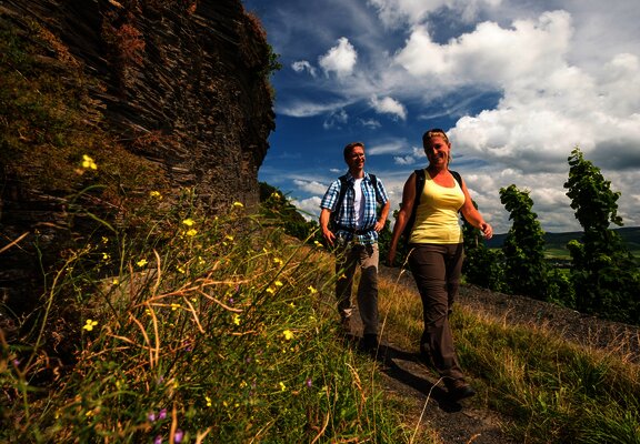 Schieferfelsen entlang des Weges auf dem Brauneberg unterhalb des Kammerfelsens