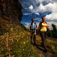 Schieferfelsen entlang des Weges auf dem Brauneberg unterhalb des Kammerfelsens