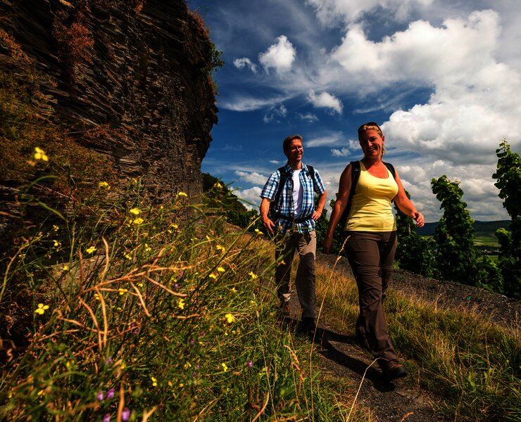 Schieferfelsen entlang des Weges auf dem Brauneberg unterhalb des Kammerfelsens