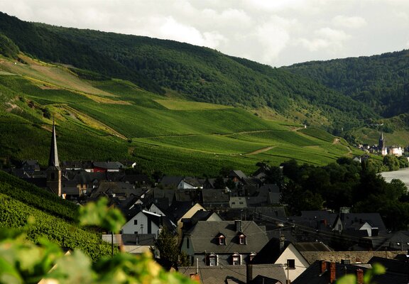 Graach an der Mosel