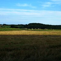 Ausblick auf die Wiesenlandschaft