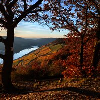 Mosel im Herbst