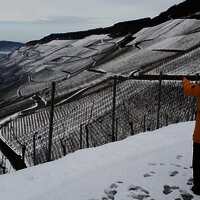 Wandern_Schnee_Winter_Mosel_Weinberg_Graach ©Wein-