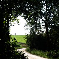 Wald- und Feldweg entlang der Strecke