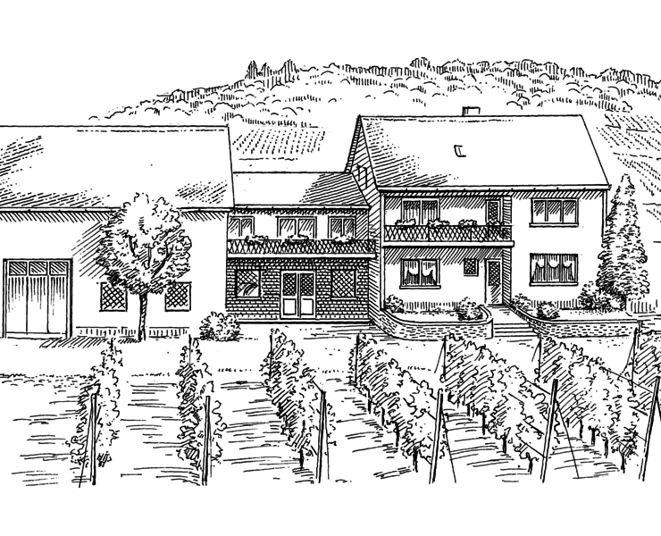Zeichnung Ansicht Weingut