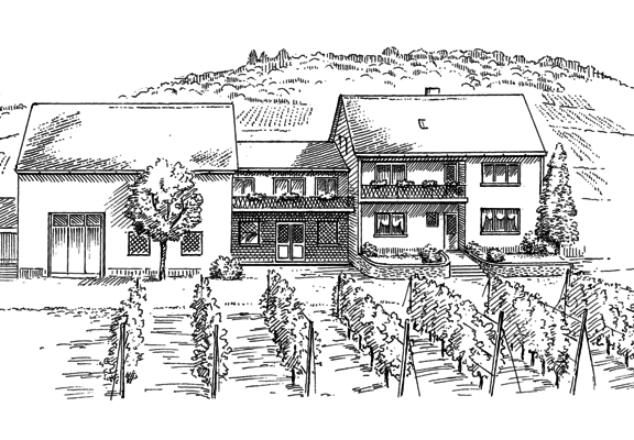 Zeichnung Ansicht Weingut