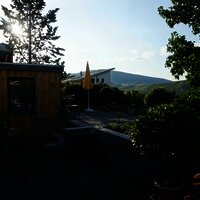 Ihr Platz an der Sonne