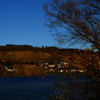Entlang des Moselufers in Richtung Bernkastel-Kues