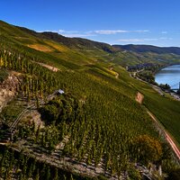 Wehlener Sonnenuhr mit Blick auf Mosel