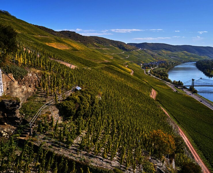 Wehlener Sonnenuhr mit Blick auf Mosel