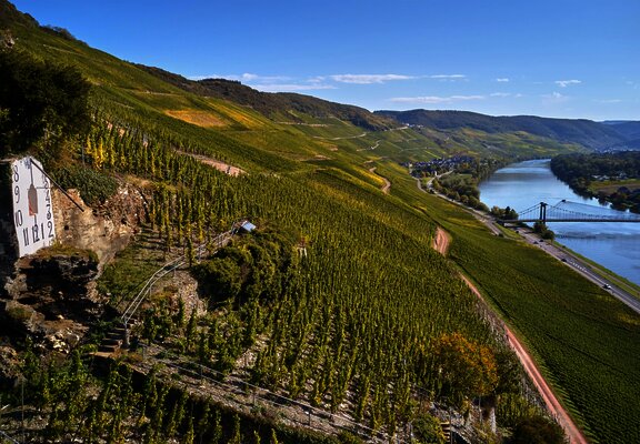Wehlener Sonnenuhr mit Blick auf Mosel