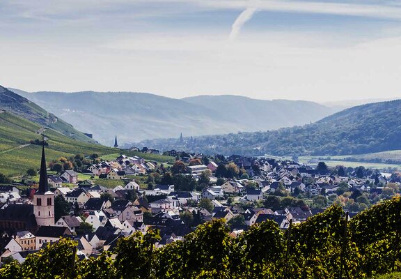 Blick auf Rachtig im Frühling